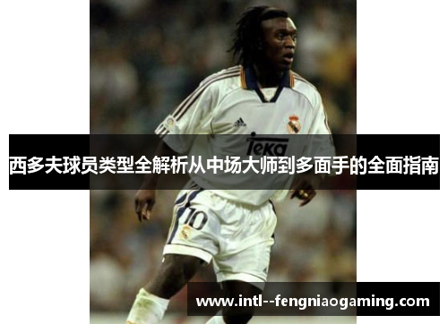 西多夫球员类型全解析从中场大师到多面手的全面指南