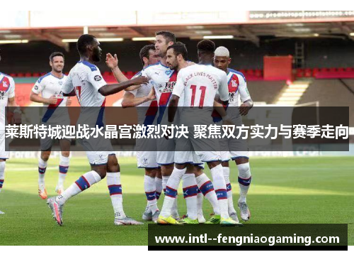 莱斯特城迎战水晶宫激烈对决 聚焦双方实力与赛季走向